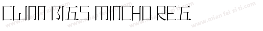 cWnn BIG5 Mincho Reg字体转换
